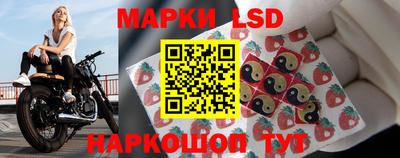 стаф Новодвинск