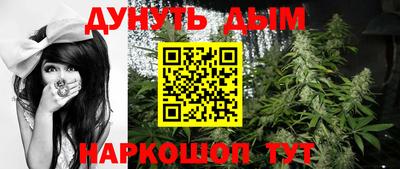 стаф Новодвинск